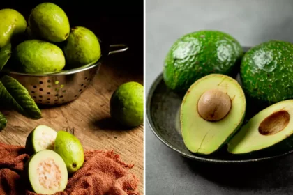 Is Avocado Fruit really healthy? Is Avocado Better Than Guava?