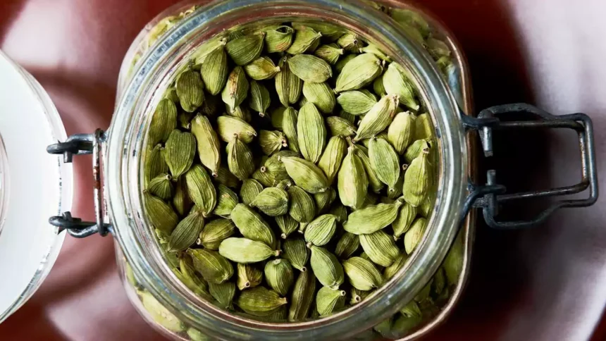 Why You Should Eat Two Cardamom Every Day